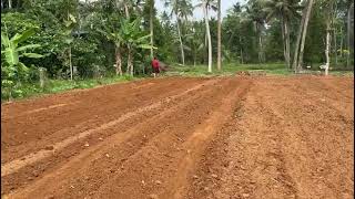 SebinPallamcom  Precision Farming  Bed Making [upl. by Riek974]