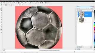 CorelDRAW X6 for Beginners Applying Adjustments and Effects in Corel PhotoPaint [upl. by Scheck]