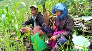 CHHUAHTLANGPA HOIN FEH LEH ANG AWMAIPAWL KUNGAH LAUI KAN THAR TLAT MAI [upl. by Larianna]