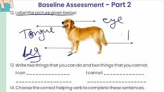 Baseline Assessment English For Class 4 and 5 English Baseline Assessment 16 August 2024 [upl. by Eineeuq]