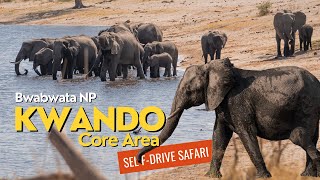 CAPRIVI Namibia 🇳🇦 Überall Elefanten Die Kwando Core Area im Bwabwata NP  Roadtrip Afrika [upl. by Trow]