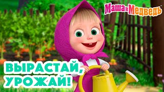 Маша и Медведь 🍓🍒 Вырастай урожай 🌼🌿🥕 Коллекция серий про Машу 2024 🎬 Час мультиков [upl. by Zilevi940]