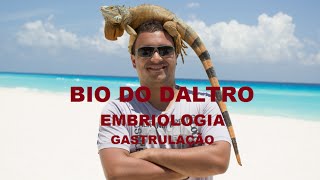 EMBRIOLOGIA  PARTE 03  GASTRULAÇÃO [upl. by Emmalynne]