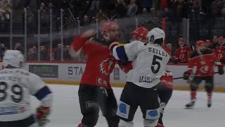 Hockeyfight in National League [upl. by Alan684]