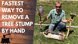 How To Remove A Tree Stump By Hand In 20 Minutes Or Less [upl. by Dustie]