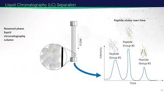 Mass SpectrometryBased Proteomics  2021 EMSL Summer School [upl. by Tiras]