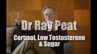 Dr Ray Peat  Cortisol Low Testosterone Dangers of a Sugarless Diet [upl. by Ecneitap]