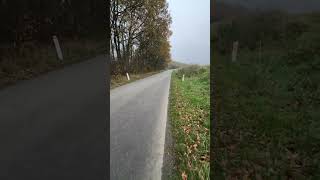 2fast singing  fast bike yamaha jogbikelife malossi scooter polini clean build [upl. by Myrt]