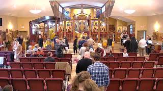 Divine Liturgy  St Herman of Alaska Orthodox Church  November 10 2024 [upl. by Acinoda505]