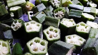 Vendaikkai Vathal Recipe Dry Okra [upl. by Rombert]