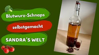 Blutwurz Schnaps [upl. by Attevaj]