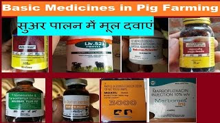 Basic Medicines in Pig Farming [upl. by Naletak737]