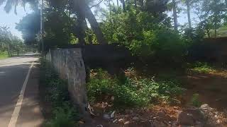 Nagercoil Tholavilai land for sales 1975 cents low price contact indian properties 8056301281 [upl. by Melamed]