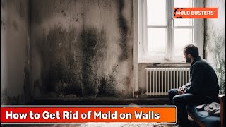 Wall Mold Removal  How to Get Rid of Mold on Walls  Mold Busters [upl. by Kinson982]