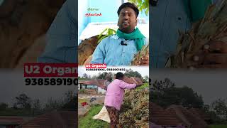 U2 Organic vivasayaarvalargal shortvideo shorts [upl. by Alleda200]