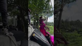 Adrenaline Swing Ubud Bali Indonesia [upl. by Collyer35]