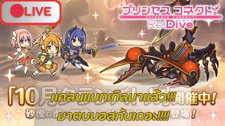 🔴 Live Princess Connect Redive JP แคลนแบทเทิลมาแล้ว มาตบบอสกันเถอะ วันที่ 4 [upl. by Sneed491]