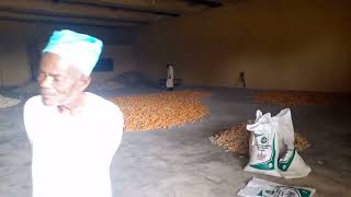 Kwara State Polytechnic officially flag off sale of maize from the Institution Commercial Farm [upl. by Valera]