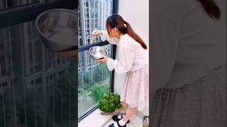 New smart utilities for Every homeKitchen gadgetsHome inventions short gadgets viralreels [upl. by Nyledam405]