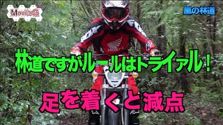 Montesa COTA 4RTで林道ツーリング Ver2 [upl. by Nylaras]