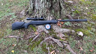 Shooting new shockwave crosman 22 cal pellet gun outdoor safety airgun pelletgun [upl. by Htesil]