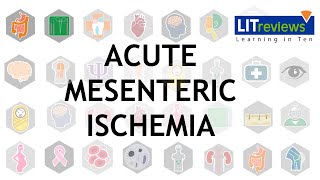 Acute Mesenteric Ischemia [upl. by Ihcego51]