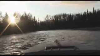 Fly Fishing for Sustut River Steelhead  Part 2 [upl. by Burke]