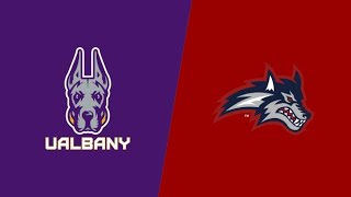 College Football Live Stream UAlbany vs Stony Brook  CAA Football [upl. by Anceline916]