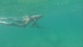 FISHING IN BAJA MEXICO WITH A SPEAR GUN [upl. by Diaz]