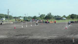 Harvey County Fair ATV Rodeo pole bending [upl. by Idnyc]