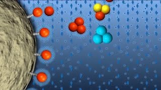 Hydrophobic Interaction Chromatography GFP Purification part 4 of 6 [upl. by Perceval]