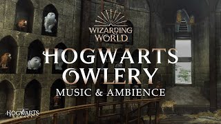 Harry Potter  Hogwarts Owlery Music amp Ambience Peaceful and Relaxing Scenes with DayNight Cycle 🦉 [upl. by Bender]