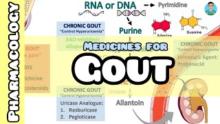 Colchicine for Gout  PART 3 7 Ways to Try to Avoid Side Effects  Some NeedtoKnow Info [upl. by Leo]