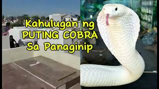 KAHULUGAN NG PUTING COBRA SA PANAGINIP [upl. by Nikola940]