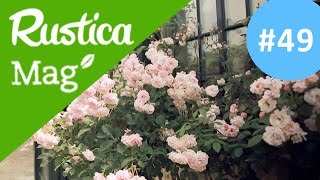 Découvrir les roses Rusticamag 47 saison 03 épisode 10 [upl. by Nada]