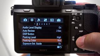 Manual Focus Tools MF Assist and Peaking Levels on Sony Cameras [upl. by Leuams]