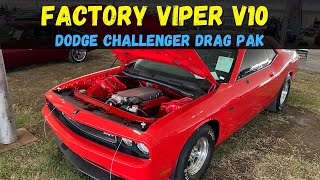 Factory Viper V10 Powered Dodge Challenger Drag Pak [upl. by Toscano758]