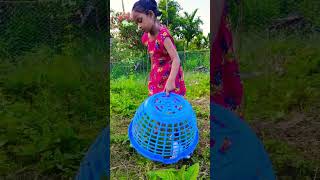 Lil girl rescue her cats catvideos cute billi youtubeshorts funny savecats [upl. by Alitha]