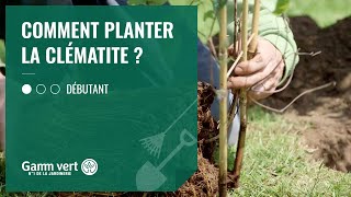 TUTO Comment planter la clématite  – Jardinerie Gamm vert [upl. by Ahsier102]