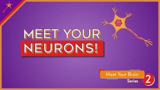 Meet Your Neurons  Lesson 2 [upl. by Hackney]