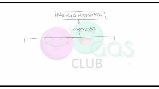 ➡ Estructura de la membrana plasmática Mosaico fluido Resumen [upl. by Leidag545]