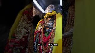 Kashi kotwal kaal bhairavdarshan 💖💖 videos 🙏🙏🙏jay kaal bhairav [upl. by Llerdnek]