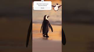 Penguin going for Swimming 😁  Love Animals fun for kids cute animalday babyanimals animals [upl. by Yelrac]