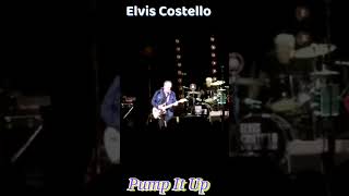 Elvis Costello  Pump It Up [upl. by Fedirko921]