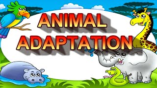 Science 4 Infer that body structures help animals adapt and survive in their particular habitat [upl. by Roper]