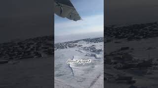 Flying Out from Arviat April 3 2019 [upl. by Meensat]