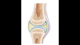 Joints classification of joints [upl. by Doownelg113]