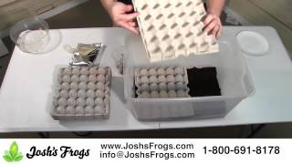 How to Set Up Dubia Roaches for Breeding [upl. by Prud]