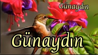 EN GÜZEL SABAH MESAJLARI 2021⚘EN GÜZEL GÜNAYDIN VİDEOSU⚘DUALI SABAH MESAJI⚘ [upl. by Eylsel]