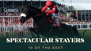 TOP 10 STAYERS HURDLES AT THE CHELTENHAM FESTIVAL [upl. by Aihsenrad842]